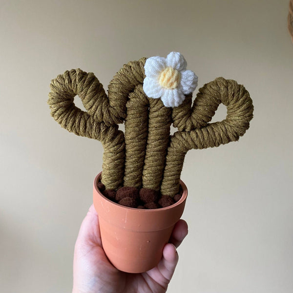 Macrame Cactus Forever Plant - ForgetBKnot - Painted Door on Main