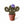 Macrame Cactus Plant - ForgetBKnot - Painted Door on Main