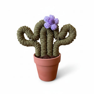 Macrame Cactus Plant - ForgetBKnot - Painted Door on Main