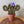Load image into Gallery viewer, Macrame Cactus Forever Plant - ForgetBKnot - Painted Door on Main
