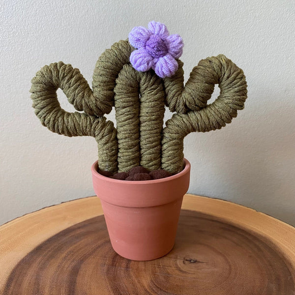 Macrame Cactus Forever Plant - ForgetBKnot - Painted Door on Main