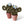 Macrame Cactus Plant - ForgetBKnot - Painted Door on Main