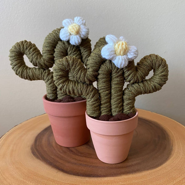 Macrame Cactus Forever Plant - ForgetBKnot - Painted Door on Main