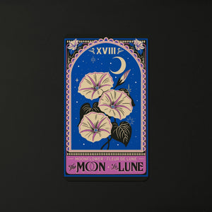 Major Arcana Floriography Tarot Reading - Painted Door on Main