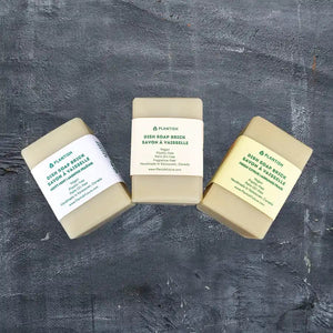 Minty Mint - Solid Dish Soap Brick - Painted Door on Main