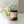 'Mother In Law' Soy Wax Candle - Painted Door on Main