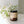 'Mother' Soy Wax Candle - Painted Door on Main