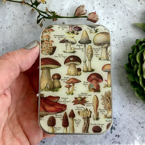 Mushroom Notions Tin - Firefly Notes - Painted Door on Main