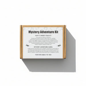 Mystery Adventure Kit - Sweet Bean Art - Painted Door on Main