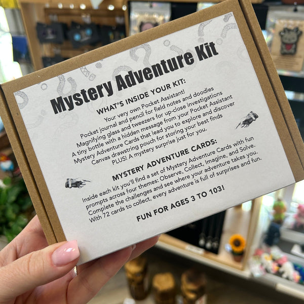 Mystery Adventure Kit - Sweet Bean Art - Painted Door on Main