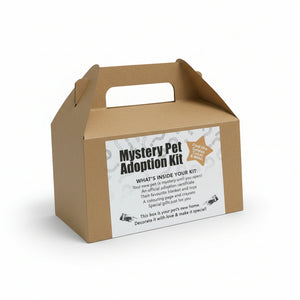 Mystery Pet Adoption Kit - Sweet Bean Art - Painted Door on Main