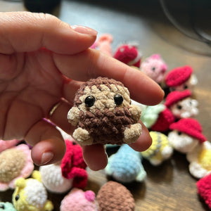 Mystery Pet Adoption Kit - Sweet Bean Art - Painted Door on Main