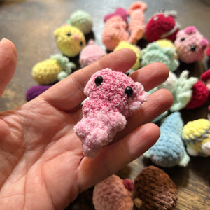 Mystery Pet Adoption Kit - Sweet Bean Art - Painted Door on Main