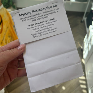 Mystery Pet Adoption Kit - Sweet Bean Art - Painted Door on Main