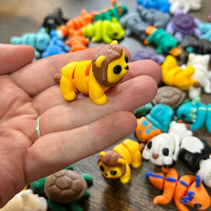 Mystery Pet Adoption Kit - Sweet Bean Art - Painted Door on Main