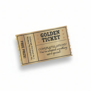 Mystery Pet Adoption Kit - Sweet Bean Art - Painted Door on Main