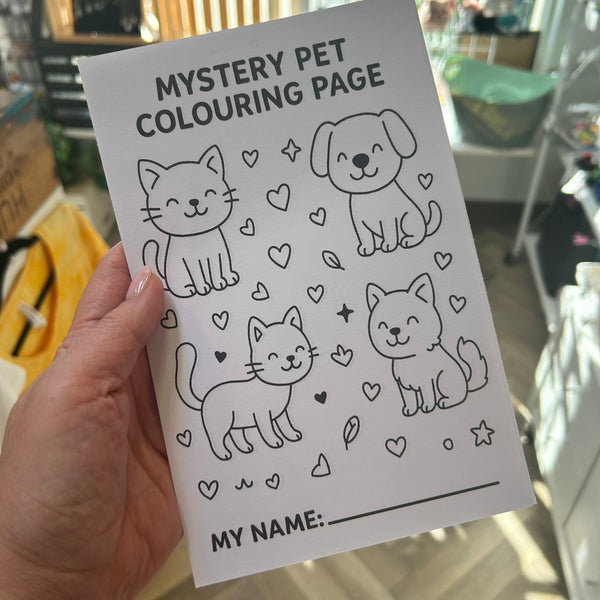 Mystery Pet Adoption Kit - Sweet Bean Art - Painted Door on Main