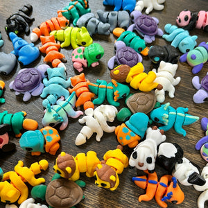 Mystery Pet Adoption Kit - Sweet Bean Art - Painted Door on Main