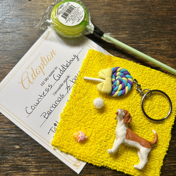 Mystery Pet Adoption - Sweet Bean Art - Painted Door on Main