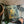 Mystery Seed Packet (Bravery) - Floriography Seed Packet - Painted Door on Main