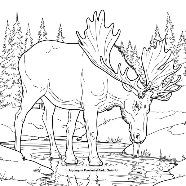 Oh Canada! A Colouring & Activity Adventure Book - Painted Door on Main