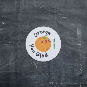 Pep Talk Pop Up Sponge Set - Painted Door on Main