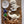 Plaster Paint Kits | Medium - Painted Door on Main