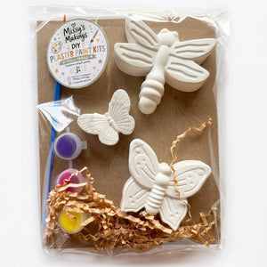 Plaster Paint Kits | Medium - Painted Door on Main