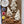 Plaster Paint Kits | Medium - Painted Door on Main