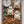 Plaster Paint Kits | Medium - Painted Door on Main