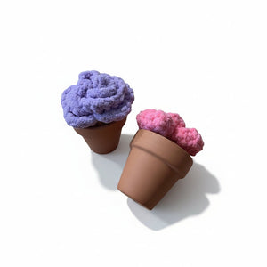 Plushy Plants - Painted Door on Main