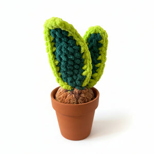 Plushy Plants - Willing Hands Crochet - Painted Door on Main