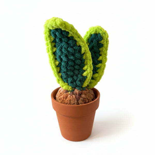 Plushy Plants - Willing Hands Crochet - Painted Door on Main