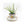 Potted Plants - Ladybug Blossoms - Painted Door on Main