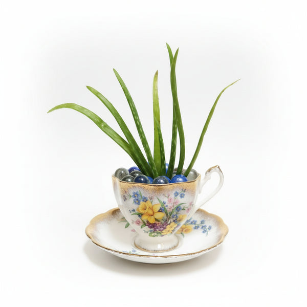 Potted Plants - Ladybug Blossoms - Painted Door on Main