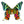 Real Butterfly Shadow Box Display - Painted Door on Main