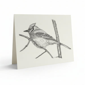 Sharon Webber Art Cards