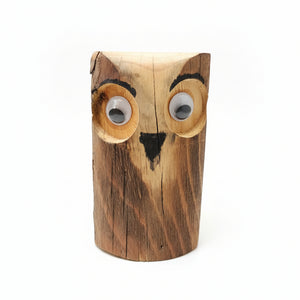 Whimsical Wood Owls - Bob Shave Woodcrafts - Painted Door on Main