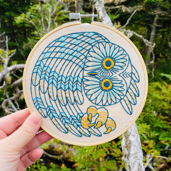 Saw Whet Owl Embroidery Kit - Hook, Line & Tinker - Painted Door on Main