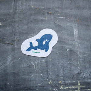 Sea Soaked Pop up Sponge Set - Painted Door on Main - Plantish