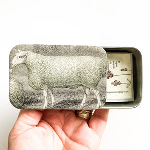 Sheep Knitting Kit - Firefly Notes - Painted Door on Main