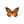 Round Butterfly Wing Pendant Necklace - Painted Door on Main - 147 Monarca Jewelry & Decor