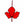 Stained Glass Maple Leaf Collection - Painted Door on Main
