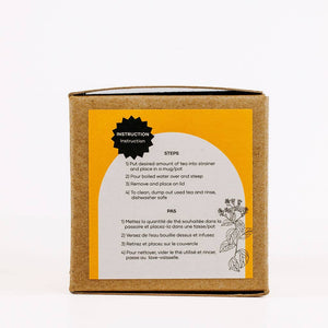 Stainless Steel Tea Infuser - Painted Door on Main