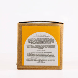 Stainless Steel Tea Infuser - Painted Door on Main