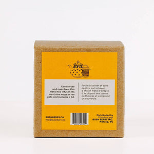 Stainless Steel Tea Infuser - Painted Door on Main