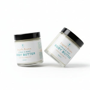 Tallow Body Butter Lavender & Lemongrass - Lazuli Farms - Painted Door on Main