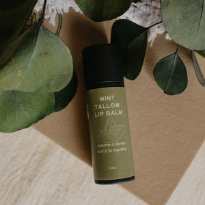 Tallow Lip Balm - Painted Door on Main