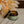 The Forager | Tallow Salve - Painted Door on Main
