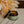 The Forager | Tallow Salve
